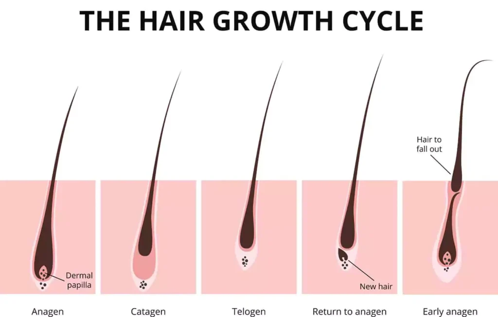 واقعیاتی در مورد موی بدن که شاید حالتان را بد کنند
