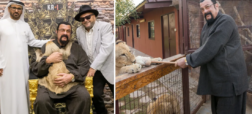 تصاویر استیون سیگال در باغ وحش دبی در حال زورآزمایی با یک شیر پلنگ + ویدئو