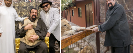 تصاویر استیون سیگال در باغ وحش دبی در حال زورآزمایی با یک شیر پلنگ + ویدئو