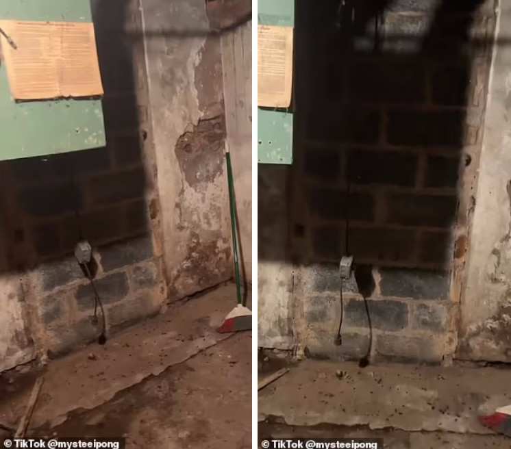 زنی که در زیرزمین خانه ۲۰۰ ساله‌اش یک در مخفی مرموز پیدا کرده است + ویدئو