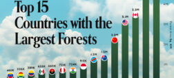 کدام کشورها بزرگترین جنگل‌ها را دارند؟