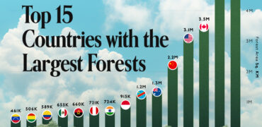 کدام کشورها بزرگترین جنگل‌های جهان را در قلمرو خود دارند؟ + اینفوگرافیک