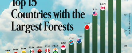 کدام کشورها بزرگترین جنگل‌های جهان را در قلمرو خود دارند؟ + اینفوگرافیک