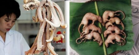 با چندش آورترین غذاهای دنیا آشنا شوید؛ از آلت تناسلی گاو تا موش