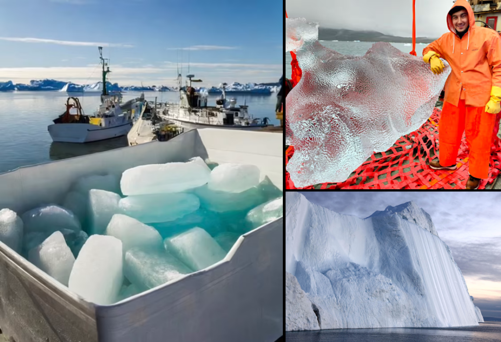 ارسال یخ های ۱۰۰,۰۰۰ ساله یخچال های طبیعی از گرینلند به کافه های امارات + ویدئو