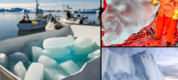 ارسال یخ های ۱۰۰,۰۰۰ ساله یخچال های طبیعی از گرینلند به کافه های امارات + ویدئو