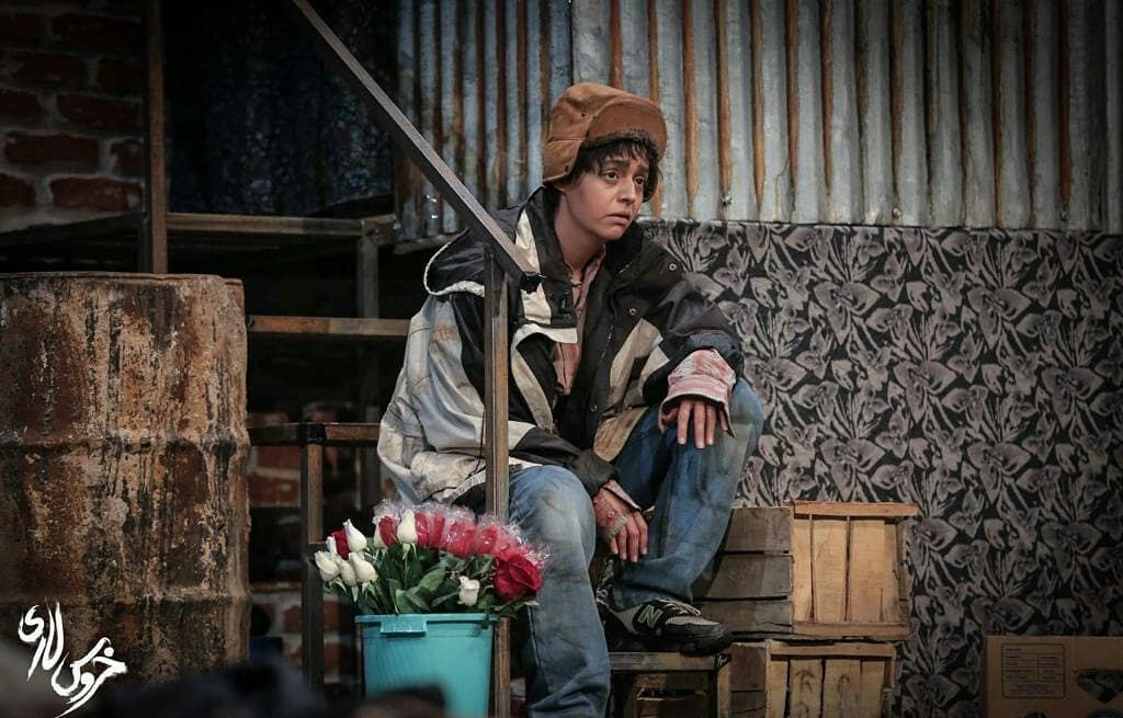 سوگل خلیق در خروس لاری