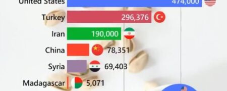 بزرگترین تولیدکنندگان پسته در جهان در ۴۰ سال اخیر؛ جایگاه ایران کجاست؟ + ویدیو