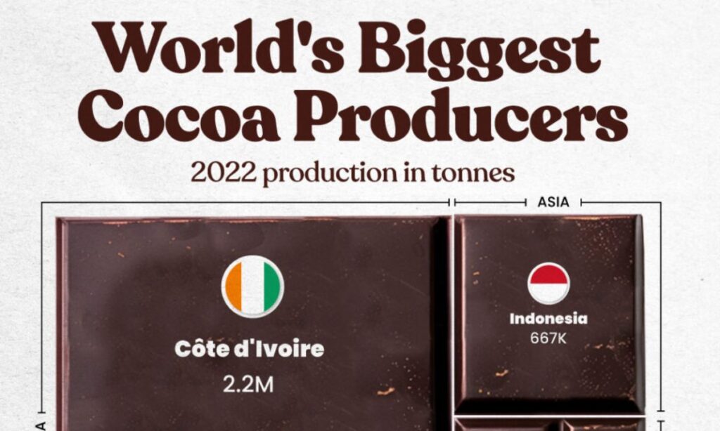 کدام کشورها بزرگ ترین تولید کنندگان کاکائو در جهان هستند؟ + اینفوگرافیک
