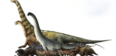 مقایسه تفاوت اندازه‌ی انواع دایناسورهایی که روی زمین زندگی می‌کردند + ویدیو