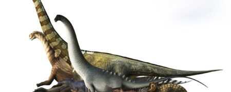 مقایسه جثه انواع دایناسورها و یک انسان متوسط + ویدیو
