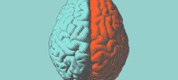 اثبات تفاوت مغز زنان و مردان توسط هوش مصنوعی؛ کدام قسمت ها متفاوتند؟