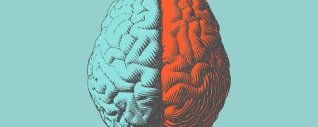 اثبات تفاوت مغز زنان و مردان توسط هوش مصنوعی؛ کدام قسمت ها متفاوتند؟
