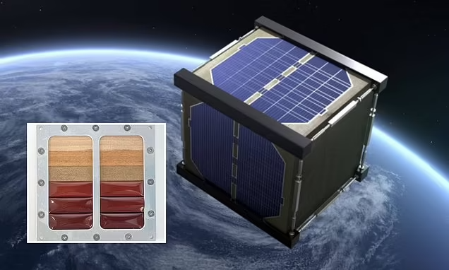 پرتاب ماهواره چوبی ژاپن به فضا در تابستان سال ۲۰۲۴ برای مقابله با آلودگی فضایی