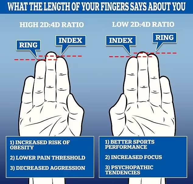 طول انگشتان شما درباره شخصیتتان چه می گوید؟