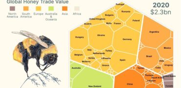 نگاهی به تجارت میلیارد دلاری صادرات جهانی عسل + اینفوگرافیک