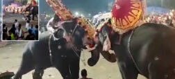 لحظه ترسناک حمله فیل ها به حاضران در یک مراسم مذهبی در هند با ده‌ها زخمی + ویدئو