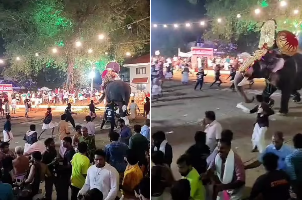 لحظه تکان‌دهنده حمله فیل‌ ها به شرکت کنندگان در یک مراسم مذهبی در هند + ویدئو