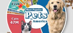 محبوب ترین حیوان خانگی در آمریکا چیست؟