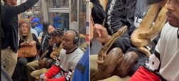 مسافری که با دو مار پیتون ترسناک سوار مترو شده است + ویدیو