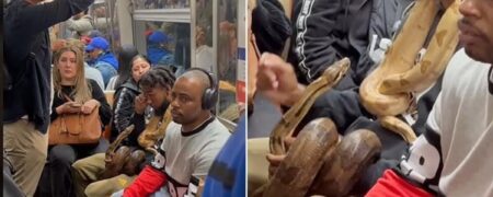 مسافری که با دو مار پیتون ترسناک دور بدنش با خونسردی سوار مترو شده بود + ویدیو
