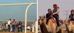 مجروح شدن چند شترسوار زن در مسابقات شترسواری عربستان + ویدیو