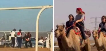 در مسابقات شترسواری زنان در عربستان چند شرکت کننده مجروع شدند + ویدیو