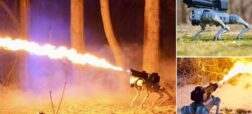 اولین سگ رباتیک مجهز به شعله افکن