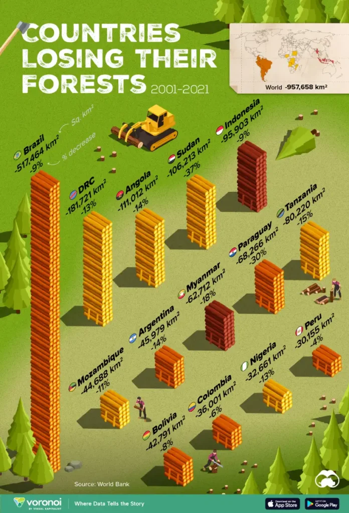 کدام کشور از سال 2001 تا2021 جنگل بیشتری از دست داده‌اند؟
