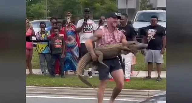 لحظه گرفتن یک تمساح 2.5 متری توسط مردی با دست های خالی