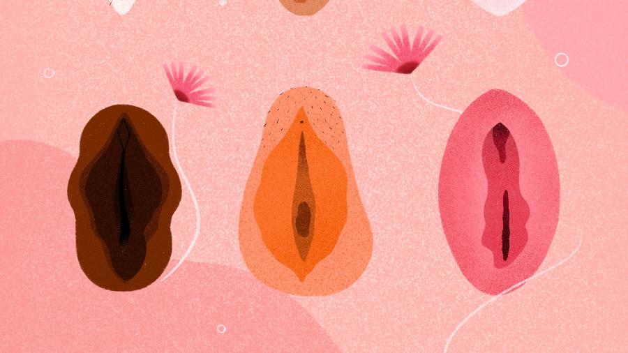 ۹ واقعیت و افسانه درباره واژن و اندام جنسی زنانه
