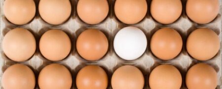 تخم مرغ قهوه‌ای چه فرقی با تخم مرغ سفید دارد؟ همه چیز زیر سر مرغ‌هاست!