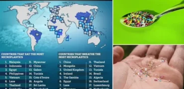 مردم کدام کشورها بیشترین ذرات میکروپلاستیک را استنشاق کرده و یا می‌خورند؟