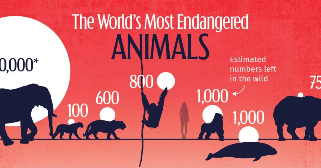 کدام حیوانات جهان بیشتر در معرض خطر انقراض قرار دارند؟ + اینفوگرافیک