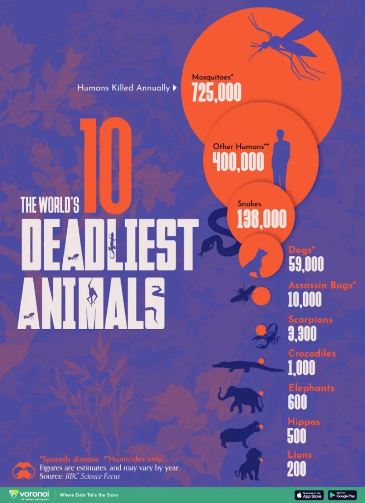 10 حیوان کشنده ای که هر ساله بیشترین قربانیان را می کشند