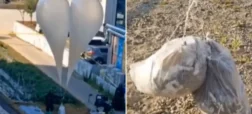 کره شمالی ۲۶۰ بالن پر از مدفوع و زباله را به کره جنوبی فرستاد + ویدیو