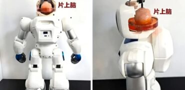 چین رباتی با مغز انسانی می‌سازد؛ گامی به سوی ماشین‌های هیبریدی