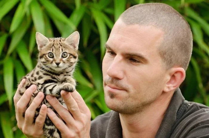 بامزه ترین گربه جهان