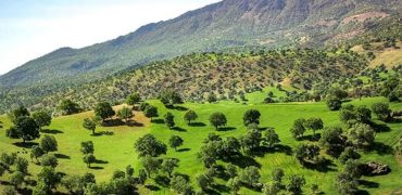 کارزار ثبت روز ملی زاگرس در تقویم رسمی ایران