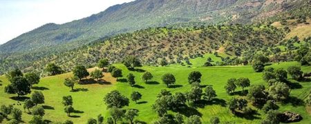 کارزار ثبت روز ملی زاگرس در تقویم رسمی ایران