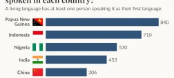 کشورهایی که بیشترین تنوع زبانی را دارند