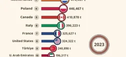 برترین صادرکنندگان شکلات در 60 سال گذشته