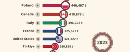 نگاهی به روند صادرات سالانه شکلات در کشورهای مختلف از ۱۹۶۲ تا ۲۰۲۳ + ویدیو