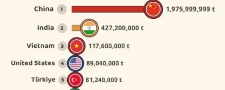 نگاهی به روند تولید سیمان از سال ۱۹۳۳ تا ۲۰۲۴ به تفکیک کشور + ویدیو