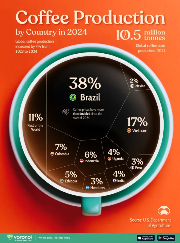 ۱۰ کشور بزرگ تولیدکننده قهوه در جهان ۲۰۲۵ + اینفوگرافی
