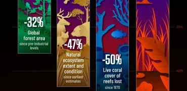 نابودی اکوسیستم‌های زمین در یک نگاه + اینفوگرافی