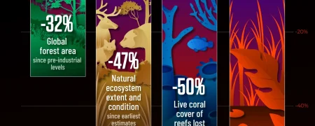 نابودی اکوسیستم‌های زمین در یک نگاه + اینفوگرافی
