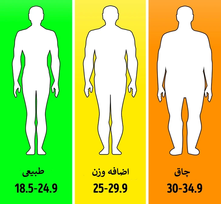 شاخص توده بدنی و طول عمر