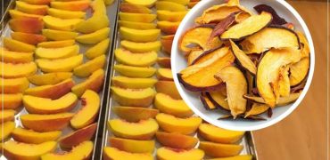 آموزش تولید هلو و شلیل خشک با دستگاه میوه خشک کن
