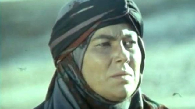 مهرانه مهینترابی